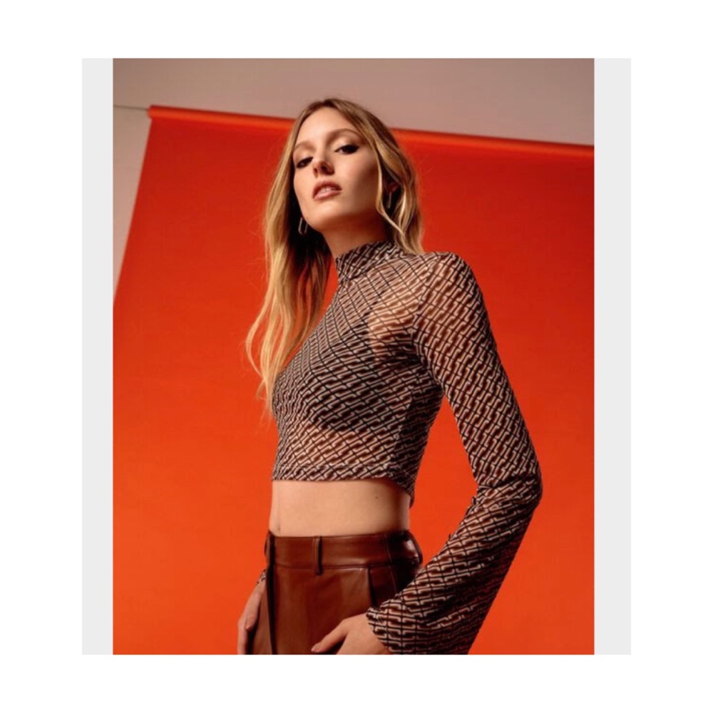 Mesh long sleeve crop top